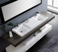 Привіт з США: недоліки та переваги подвійний раковини