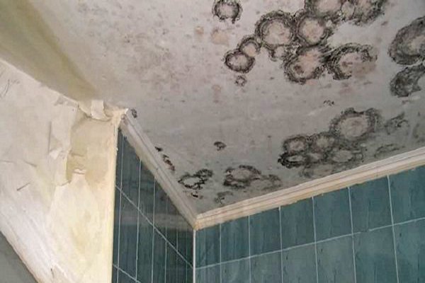 Як прибрати цвіль у ванній: причини виникнення і способи їх усунення