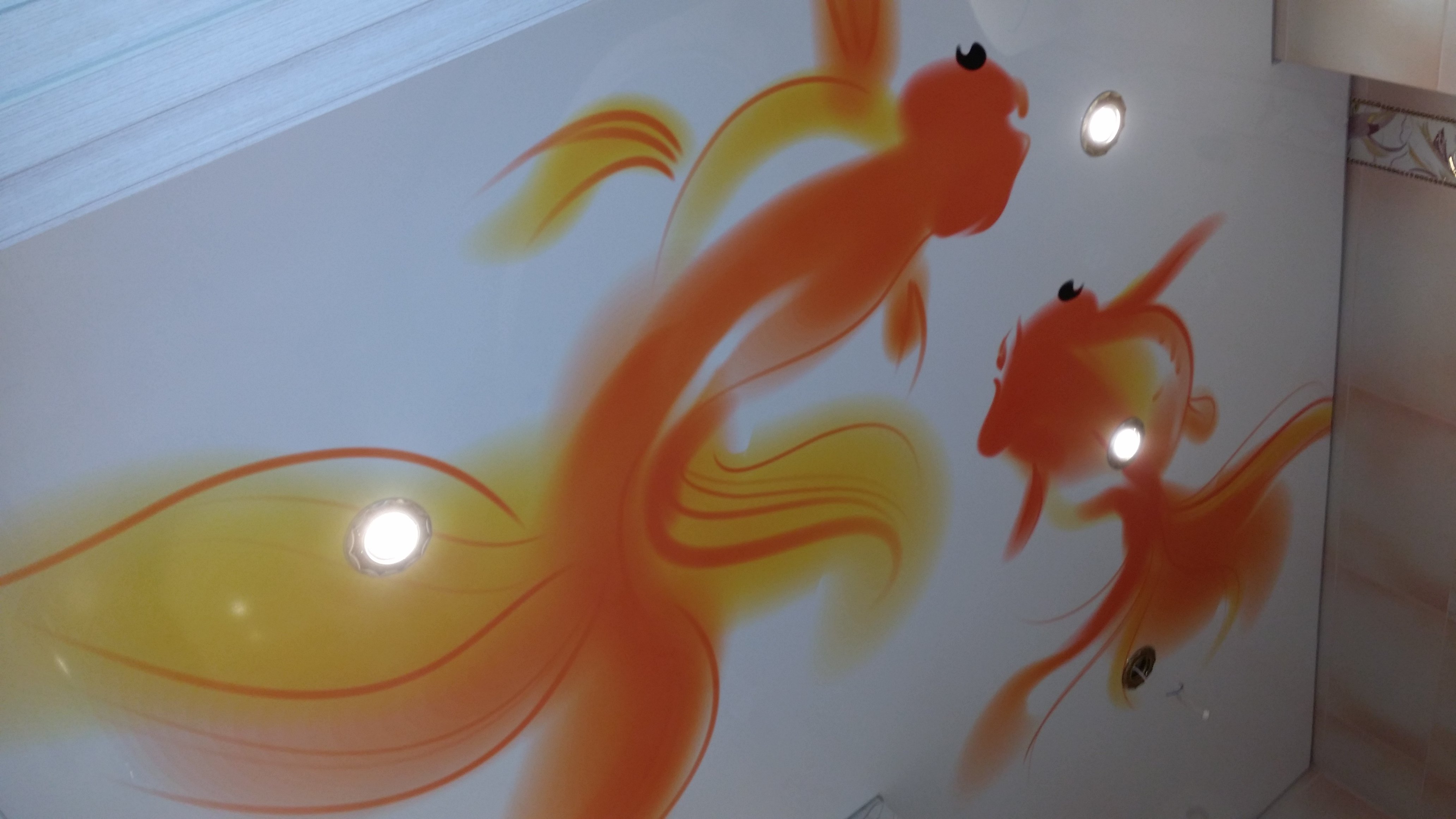 Усе про натяжні стелі у ванній, плюси і мінуси, а також поради Усе про натяжні стелі у ванній, плюси і мінуси, а також поради