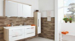 Привіт з США: недоліки та переваги подвійний раковини