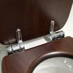 Кришки для унітазів з мікроліфтом: вибір і установка Кришки для унітазів з мікроліфтом: вибір і установка