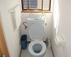 Унітаз з раковиною на бачку – практична економія місця