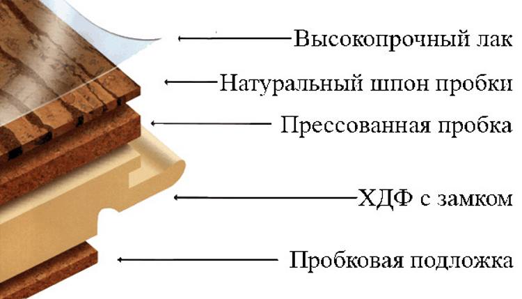 Пробкова підлога на кухні — технологія укладання, відгуки, фото
