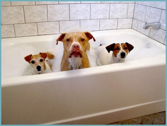 Догляд за акриловою ванною: чим чистити і мити в домашніх умовах