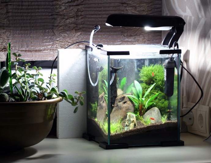 Як зволожити повітря в домашніх умовах без зволожувача?