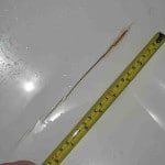 Ремонт душових кабін своїми руками Ремонт душових кабін своїми руками