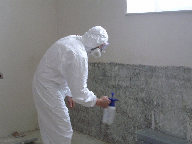 Засіб від цвілі у ванній кімнаті, розкриваємо найефективніші Засіб від цвілі у ванній кімнаті, розкриваємо найефективніші