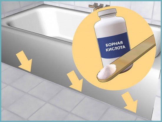 Як звільнити ванну від неприємного комахи – чешуйницы