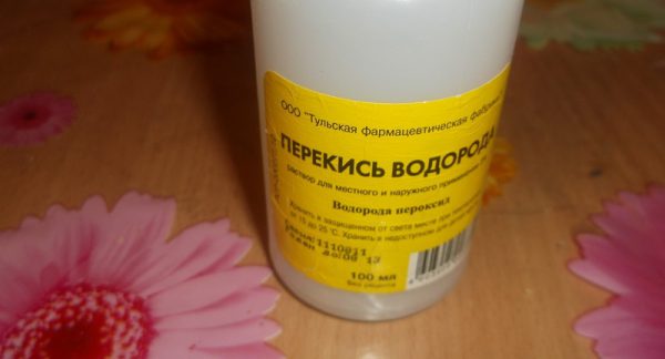 Як видалити грибок у ванній кімнаті назавжди — засоби і методи позбавлення (відео, фото)
