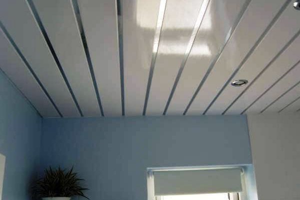 Важливі моменти, які необхідно знати про рейкова стеля