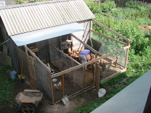 Облаштування курника зсередини своїми руками — фото Облаштування курника зсередини своїми руками — фото