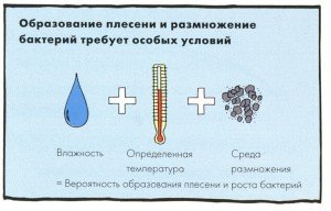 Як позбутися від цвілі у ванній кімнаті?