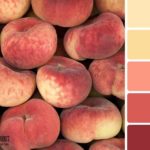 Вдале поєднання кольорів в інтерєрі: таблиця як інструмент правильного підбору Вдале поєднання кольорів в інтерєрі: таблиця як інструмент правильного підбору