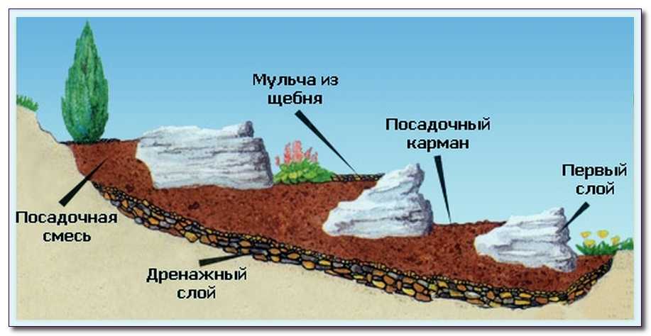 Альпійська гірка на ділянці — будуємо своїми руками (фото)