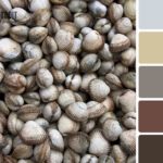 Вдале поєднання кольорів в інтерєрі: таблиця як інструмент правильного підбору Вдале поєднання кольорів в інтерєрі: таблиця як інструмент правильного підбору