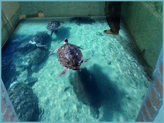 Наливні підлоги: класифікація, відгуки власників, поради та рекомендації професіоналів