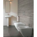 Біде приставка для унітазу: економимо відстань між унітазом і біде