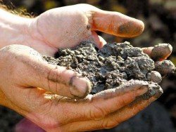 Ванна з бетону своїми руками: основні етапи роботи