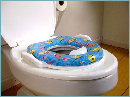 Кришки для унітазу: з мікроліфтом, дитячим сидінням, електронним управлінням. Як вибрати