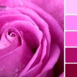 Вдале поєднання кольорів в інтерєрі: таблиця як інструмент правильного підбору Вдале поєднання кольорів в інтерєрі: таблиця як інструмент правильного підбору