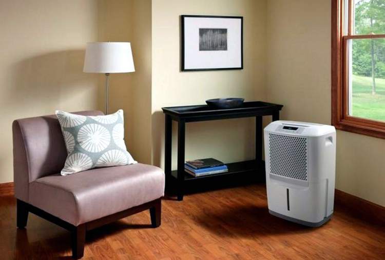 Як знизити вологість і сирість у квартирі?