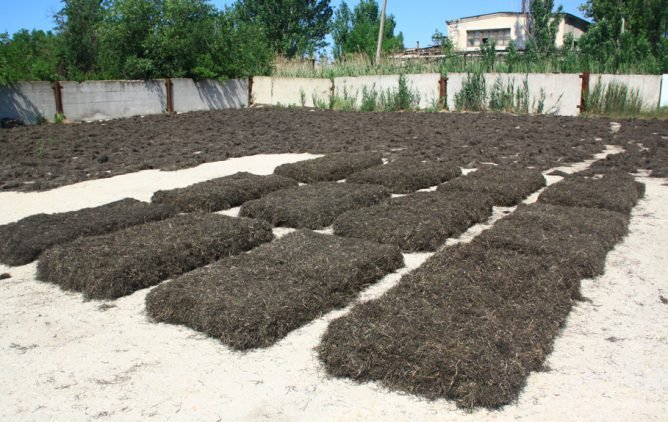 Утеплювач з морських водоростей — теплоізоляція своїми руками