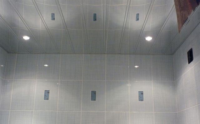 Важливі моменти, які необхідно знати про рейкова стеля