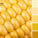 Вдале поєднання кольорів в інтерєрі: таблиця як інструмент правильного підбору Вдале поєднання кольорів в інтерєрі: таблиця як інструмент правильного підбору