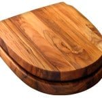 Деревяне сидіння для унітазу: особливості монтажу