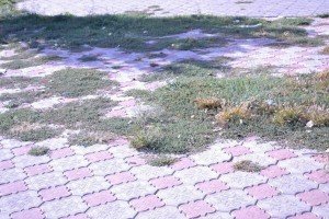Укладання тротуарної плитки Укладання тротуарної плитки