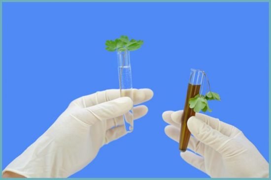 Очищення води зі свердловини і колодязі від заліза: як вибрати фільтр для дачі або приватного будинку?