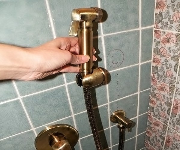 Гігієнічний душ для унітазу: як вибрати і як встановити своїми руками Гігієнічний душ для унітазу: як вибрати і як встановити своїми руками