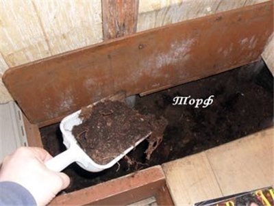 Туалет для дачі своїми руками