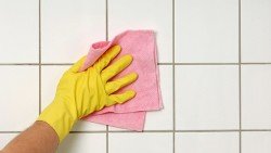 Як за допомогою народних засобів і побутової хімії очистити шви у ванній від плісняви та грибка Як за допомогою народних засобів і побутової хімії очистити шви у ванній від плісняви та грибка