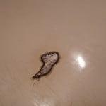 Ремонт сколів емальованих ванн своїми руками Ремонт сколів емальованих ванн своїми руками