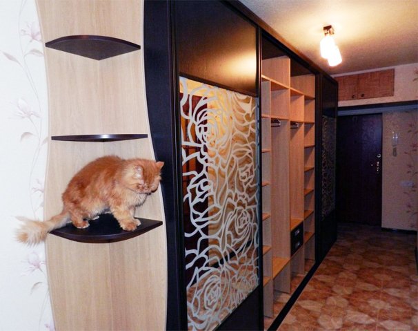 Підставки для вузьких коридорів: фото, поради, прийоми