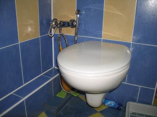 Вибираємо гігієнічний душ із змішувачем: види, плюси і мінуси Вибираємо гігієнічний душ із змішувачем: види, плюси і мінуси