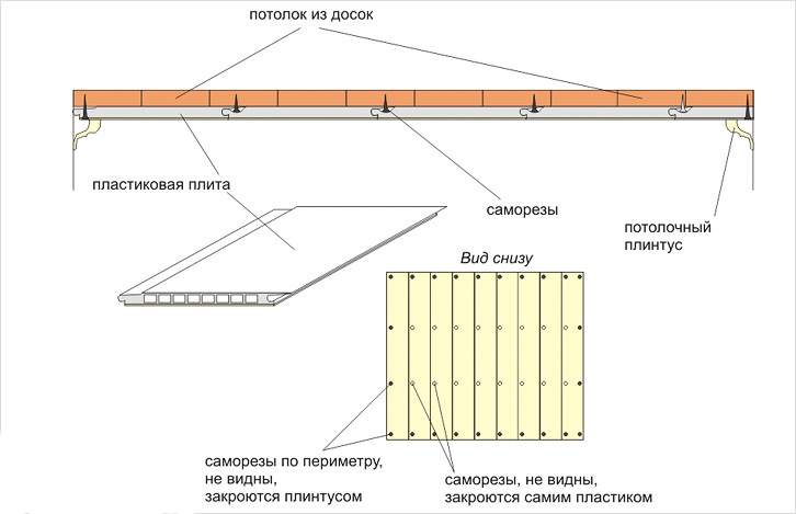 Пластикові плінтуси для стелі: способи кріплення