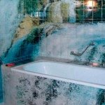 Фотоплитка для ванної кімнати: особливості обробки Фотоплитка для ванної кімнати: особливості обробки