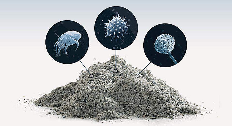 Яка оптимальна вологість повітря в квартирі?