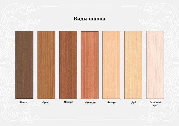 Як вибрати вологостійкі двері для ванної кімнати — види і особливості (фото, відео)