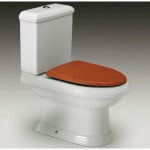 Деревяне сидіння для унітазу: особливості монтажу