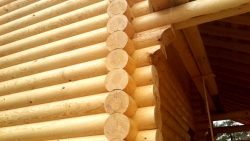 Що таке будинки та лазні з оциліндрованої колоди: недоліки і переваги, проекти і відгуки власників Що таке будинки та лазні з оциліндрованої колоди: недоліки і переваги, проекти і відгуки власників