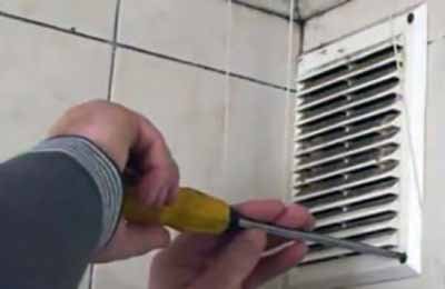 Мокриці у ванній кімнаті: як позбутися і які є методи боротьби?