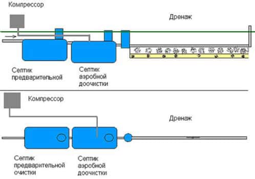 Які бактерії краще для септика