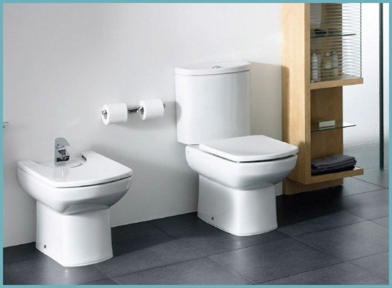 Плюси і мінуси унітазів Roca (Року), поради та відгуки власників