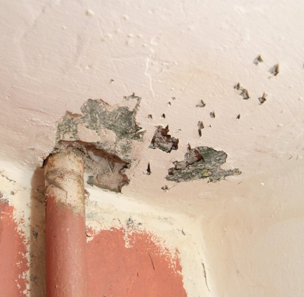 Пластиковий стеля у ванній своїми руками