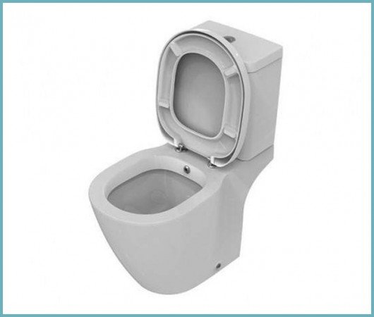 Вибираємо унітаз з функцією біде в єдиному форматі