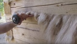 Як і чим правильно конопатити лазню з бруса: мохом, джутом або клоччям? Як і чим правильно конопатити лазню з бруса: мохом, джутом або клоччям?