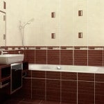 Розкладка плитки у ванній: 70 фото дизайну інтерєрів